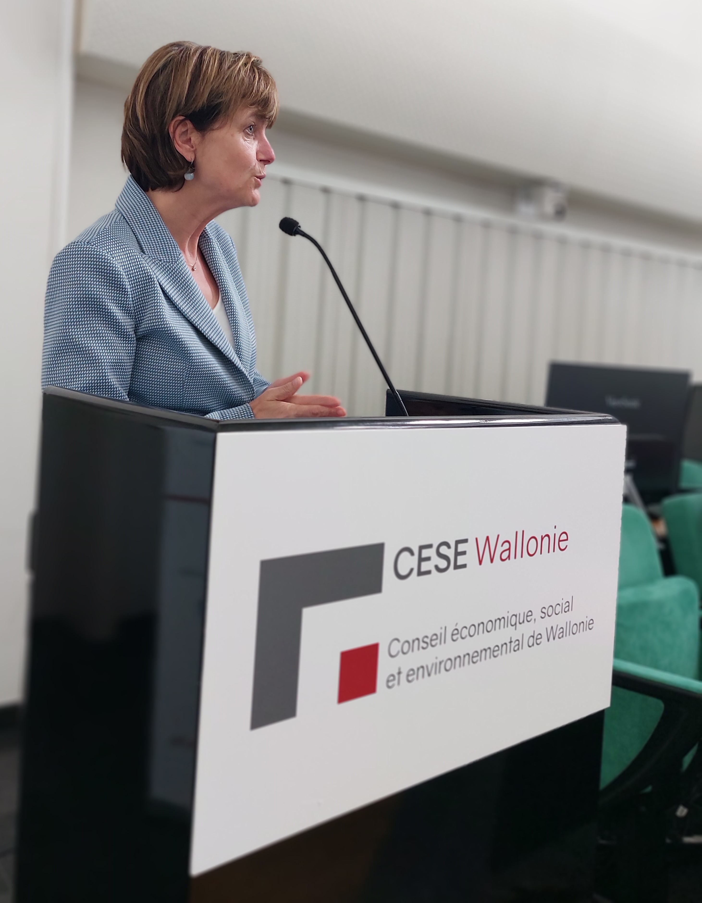 Madame Valérie De Bue, Ministre du Patrimoine, s’adressant aux membres de la CRMSF).